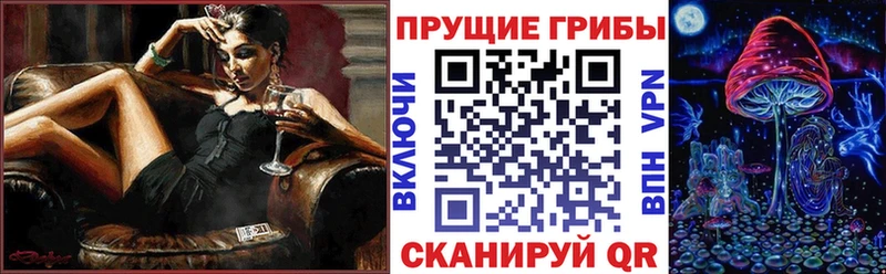 Псилоцибиновые грибы Cubensis Монино